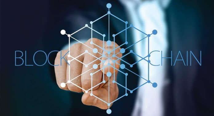 Blockchain for Transparent Carbon Credit Markets